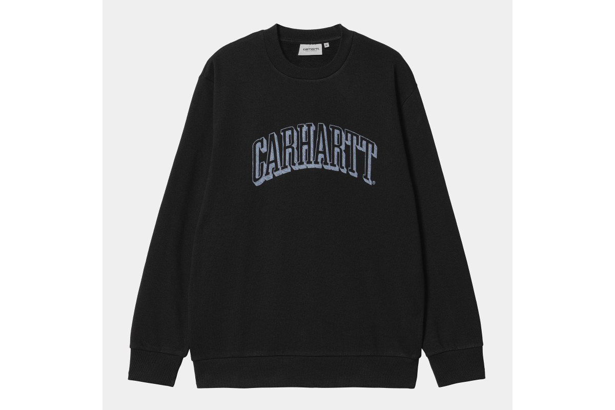 Carhartt 100 sale cotton sweatshirt