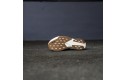 Thumbnail of adidas-evo-sl_672013.jpg