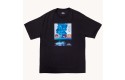 Thumbnail of blue-flowers-delphinium-t-shirt_616930.jpg