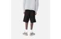 Thumbnail of carhartt-wip-american-script-shorts1_642891.jpg