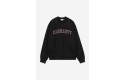 Thumbnail of carhartt-wip-big-school-sweat_771268.jpg