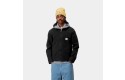 Thumbnail of carhartt-wip-detroit-jacket18_657548.jpg