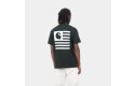 Thumbnail of carhartt-wip-s-s-label-state-flag-t-shirt-dark-cedar-green---white_357551.jpg