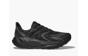Thumbnail of hoka-arahi-81_670297.jpg