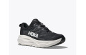 Thumbnail of hoka-gaviota-66_841196.jpg