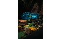 Thumbnail of hoka-speedgoat-5-deep-teal---water-garden_406726.jpg