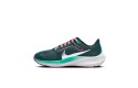 Thumbnail of nike-pegasus-40_530570.jpg