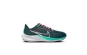 Thumbnail of nike-pegasus-40_530571.jpg