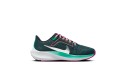 Thumbnail of nike-pegasus-40_530572.jpg