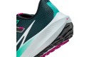 Thumbnail of nike-pegasus-40_530576.jpg