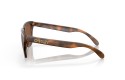 Thumbnail of oakley-frogskins_571243.jpg