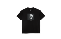 Thumbnail of polar-morphology-tee1_478489.jpg