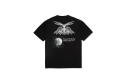 Thumbnail of polar-morphology-tee1_478490.jpg