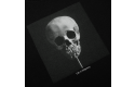 Thumbnail of polar-morphology-tee1_478491.jpg