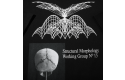 Thumbnail of polar-morphology-tee1_478492.jpg