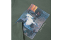 Thumbnail of psc-horse-dream-t-shirt_585706.jpg