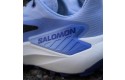 Thumbnail of salomon-genesis2_788364.jpg