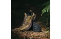 Thumbnail of saucony-ride-tr2_684670.jpg