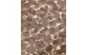 Thumbnail of sweaty-betty-ultimate-studio-bra1_820258.jpg