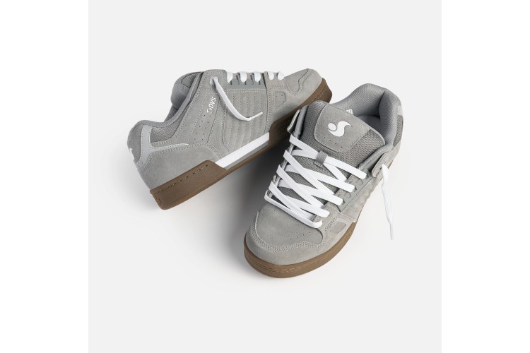 DVS Celsius