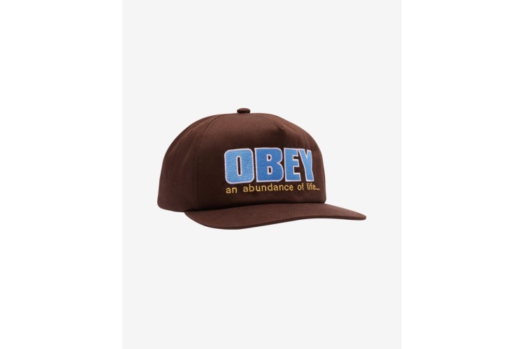 OBEY Abundance 5 Panel Hat