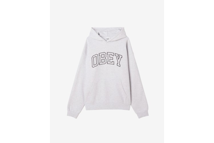 OBEY Colligiate Heavy Hoodie 2