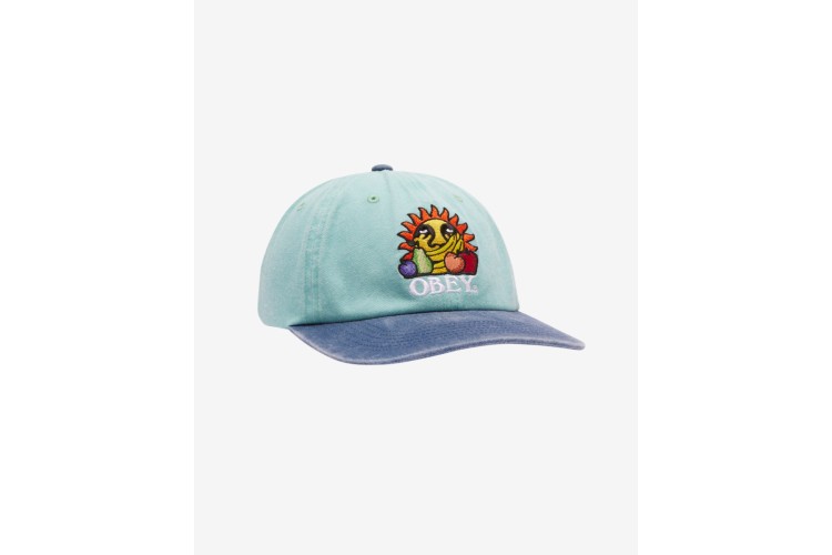OBEY Fruits 6 Panel Hat