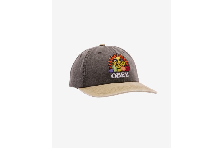 OBEY Fruits 6 Panel Hat