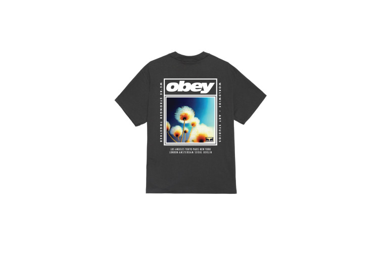 OBEY Stronger Together