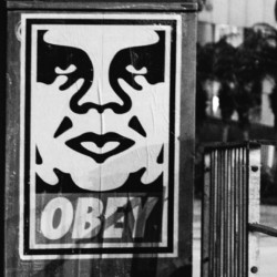 Obey